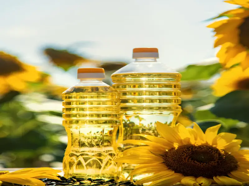 Sunflower Oil