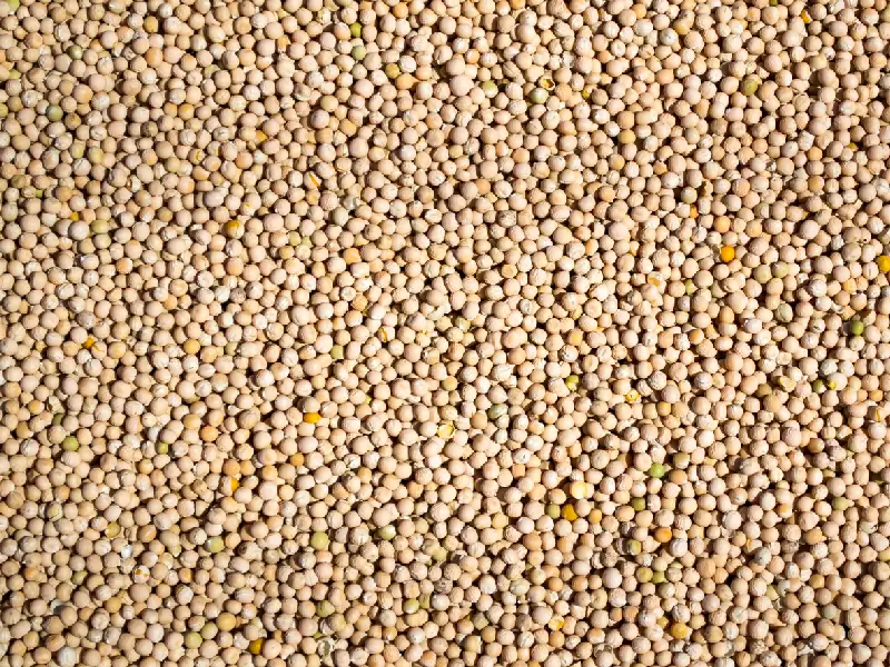 Yellow Peas